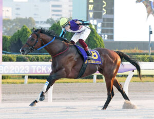 NAR年度代表馬イグナイター、次走は西村淳也でフェブラリーS