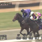 【日経新春杯2024】追い切り/動きからレースを紐解く