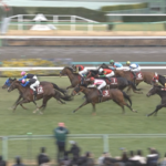 ボッケリーニさん、今日も元気にG2で馬券内。