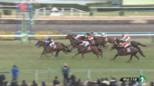 ボッケリーニさん、今日も元気にG2で馬券内。