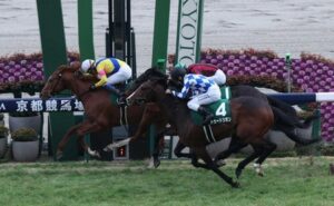 【京都金杯】8番人気コレペティトールが内から抜けV！重賞初制覇