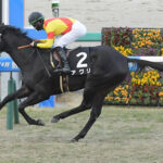 【競馬予想】[2]第29回シルクロードステークス(GⅢ) /2024