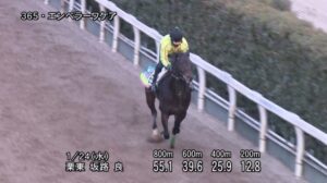 【根岸ステークス2024】追い切り/抜群の動きを見せたのは