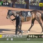 【雅S】ヤマニンウルス&武豊騎手がキタ━━━━(゚∀゚)━━━━!!