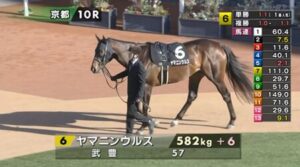 【雅S】ヤマニンウルス＆武豊騎手がｷﾀ━━━━(ﾟ∀ﾟ)━━━━!!