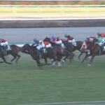 【中山金杯2024】結果・動画/リカンカブールが抜け出し快勝