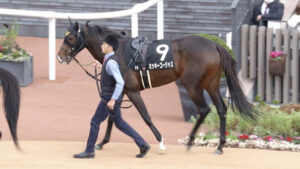 【競馬予想】第61回愛知杯（GⅢ）/ 2024