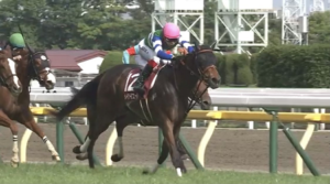 メイケイエールは京都牝馬Sから高松宮記念へ