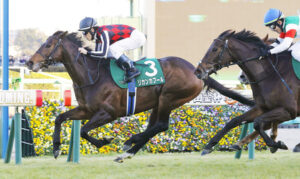 【中山金杯】5番人気リカンカブールが接戦制しV！重賞初制覇