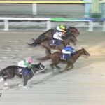 砂クラ路線開幕戦、ブルーバードC馬券内をJRA勢が独占