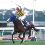 横山典弘のG1勝ちを語るスレ