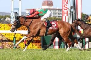 ノーザンファームがシゲルピンクルビーを1億5000万で購入