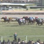 柴田大知騎手で無敗3連勝のコスモフリーゲン強すぎワロタ