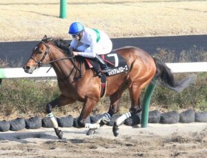 【東海S】ウィリアムバローズ強すぎワロタwww