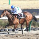 【東海S】ウィリアムバローズ重賞初制覇!4度目挑戦で重賞初V