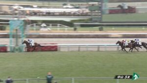 ニュージーズ強すぎワロタ