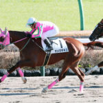 【競馬予想】[2]第41回東海ステークス(GⅡ) /2024