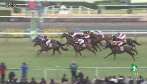 【競馬】ＡＪＣＣはキング騎乗のチャックネイトがＶ