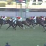 【競馬】中山金杯は津村騎乗のリカンカブールがV