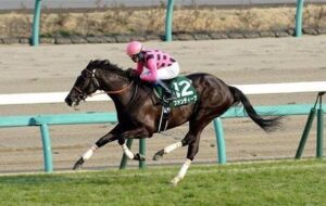 ハードル上げられ過ぎて可哀想だった馬