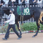 【競馬予想】[1]第29回シルクロードステークス(GⅢ)