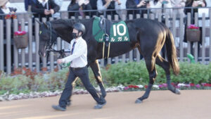 【競馬予想】[1]第29回シルクロードステークス(GⅢ)