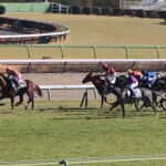 柴田大知で無敗3連勝のコスモフリーゲン強すぎワロタ