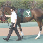 【競馬予想】第40回フェアリーステークス(GⅢ) /2024