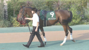 【競馬予想】第40回フェアリーステークス(GⅢ) /2024