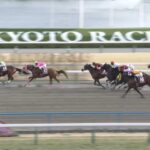 【東海ステークス2024】結果・動画/ウィリアムバローズが叩き合いを制す