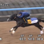 【中山金杯2024】追い切り/動きからレースを紐解く