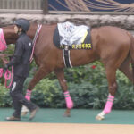 【競馬予想】[1]第41回東海ステークス(GⅡ) /2024