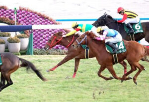 【シンザン記念】17番人気ウォーターリヒト買えたヤツ