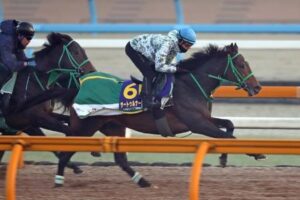 初年度産駒がデビューする種牡馬