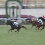 【競馬】シンザン記念は川田騎乗のノーブルロジャーがV