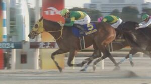 ダート界完全に3強になるのにウシュバテソーロだけ絵文字がない