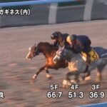 【東海ステークス2024】追い切り/動きからレースを紐解く