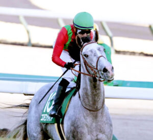【京成杯】コスモブッドレアの買い要素ってどこだよ