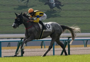 【フェアリーS】5番人気イフェイオンがV！重賞初制覇