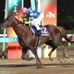東京盃制覇のドンフランキー、池添謙一とのコンビでフェブラリーSへ