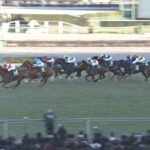 やっぱり中山の重賞は横山典弘騎手
