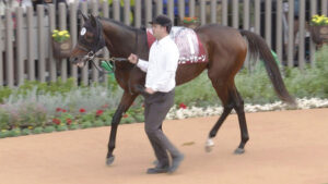 【競馬予想】[2]第71回日経新春杯(GII) /2024