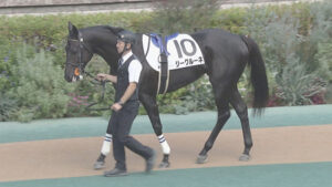 【悲報】超良血ジークルーネ12着（スキルヴィングの半妹）