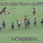 【中山12R】北村宏司、落馬