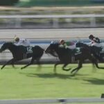 【競馬】愛知杯は川田騎乗のミッキーゴージャスがV