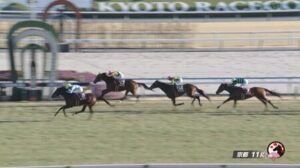 ブローザホーンを1番人気にした馬券購入者