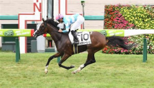 メロディレーン現役続行、阪神大賞典目指す