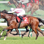 モリアーナは武藤雅と再コンビで中山牝馬Sへ