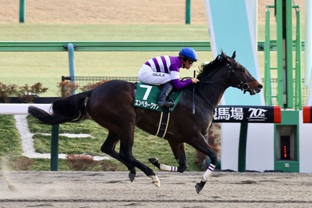 【根岸S】1番人気エンペラーワケアが3連勝で重賞初制覇！ダート界に新星現る