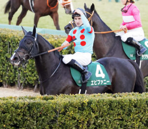 【悲報】ピーヒュレク騎手「戸崎さんからは色々なアドバイスをもらっています」